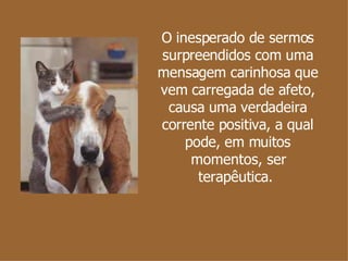 O inesperado de sermos surpreendidos com uma mensagem carinhosa que vem carregada de afeto, causa uma verdadeira corrente positiva, a qual pode, em muitos momentos, ser terapêutica.  
