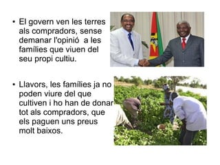 ●   El govern ven les terres
    als compradors, sense
    demanar l'opinió a les
    famílies que viuen del
    seu propi cultiu.

●   Llavors, les famílies ja no
    poden viure del que
    cultiven i ho han de donar
    tot als compradors, que
    els paguen uns preus
    molt baixos.
 