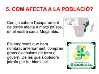 5. COM AFECTA A LA POBLACIÓ?

Com ja sabem l'acaparament
de terres afecta a molts països,
en el nostre cas a Moçambic.


Els empreses que hem
nombrat anteriorment, compren
grans extensions de terra al
govern. De les que s'obtindrà
jatrofa per fer biodiesel.
 
