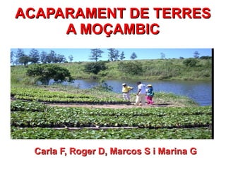 ACAPARAMENT DE TERRES
     A MOÇAMBIC




  Carla F, Roger D, Marcos S i Marina G
 