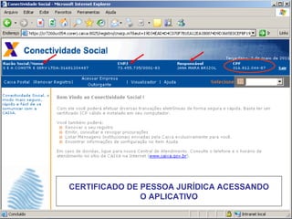 CERTIFICADO DE PESSOA JURÍDICA ACESSANDO O APLICATIVO  