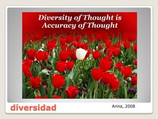 diversidad Arina,  2008
 
