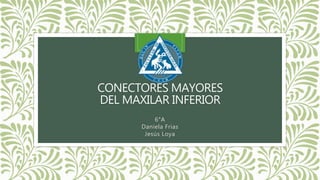 CONECTORES MAYORES
DEL MAXILAR INFERIOR
6°A
Daniela Frias
Jesús Loya
 