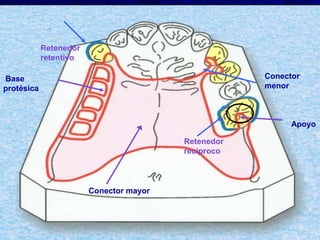 Conectores Mayores Y Apoyos