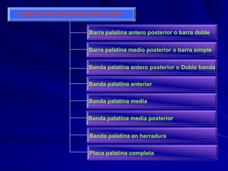 Conectores Mayores Y Apoyos