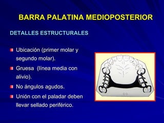 Conectores Mayores Y Apoyos