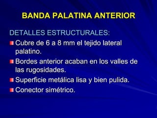 Conectores Mayores Y Apoyos