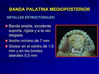 Conectores Mayores Y Apoyos