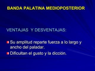 Conectores Mayores Y Apoyos