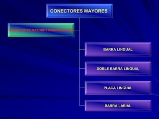 Conectores Mayores Y Apoyos