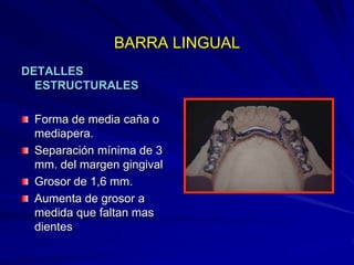 Conectores Mayores Y Apoyos