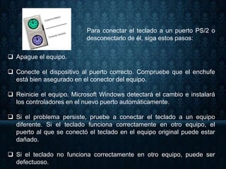 Para conectar el teclado a un puerto PS/2 o
desconectarlo de él, siga estos pasos:
 Apague el equipo.
 Conecte el dispositivo al puerto correcto. Compruebe que el enchufe
está bien asegurado en el conector del equipo.
 Reinicie el equipo. Microsoft Windows detectará el cambio e instalará
los controladores en el nuevo puerto automáticamente.
 Si el problema persiste, pruebe a conectar el teclado a un equipo
diferente. Si el teclado funciona correctamente en otro equipo, el
puerto al que se conectó el teclado en el equipo original puede estar
dañado.
 Si el teclado no funciona correctamente en otro equipo, puede ser
defectuoso.
 