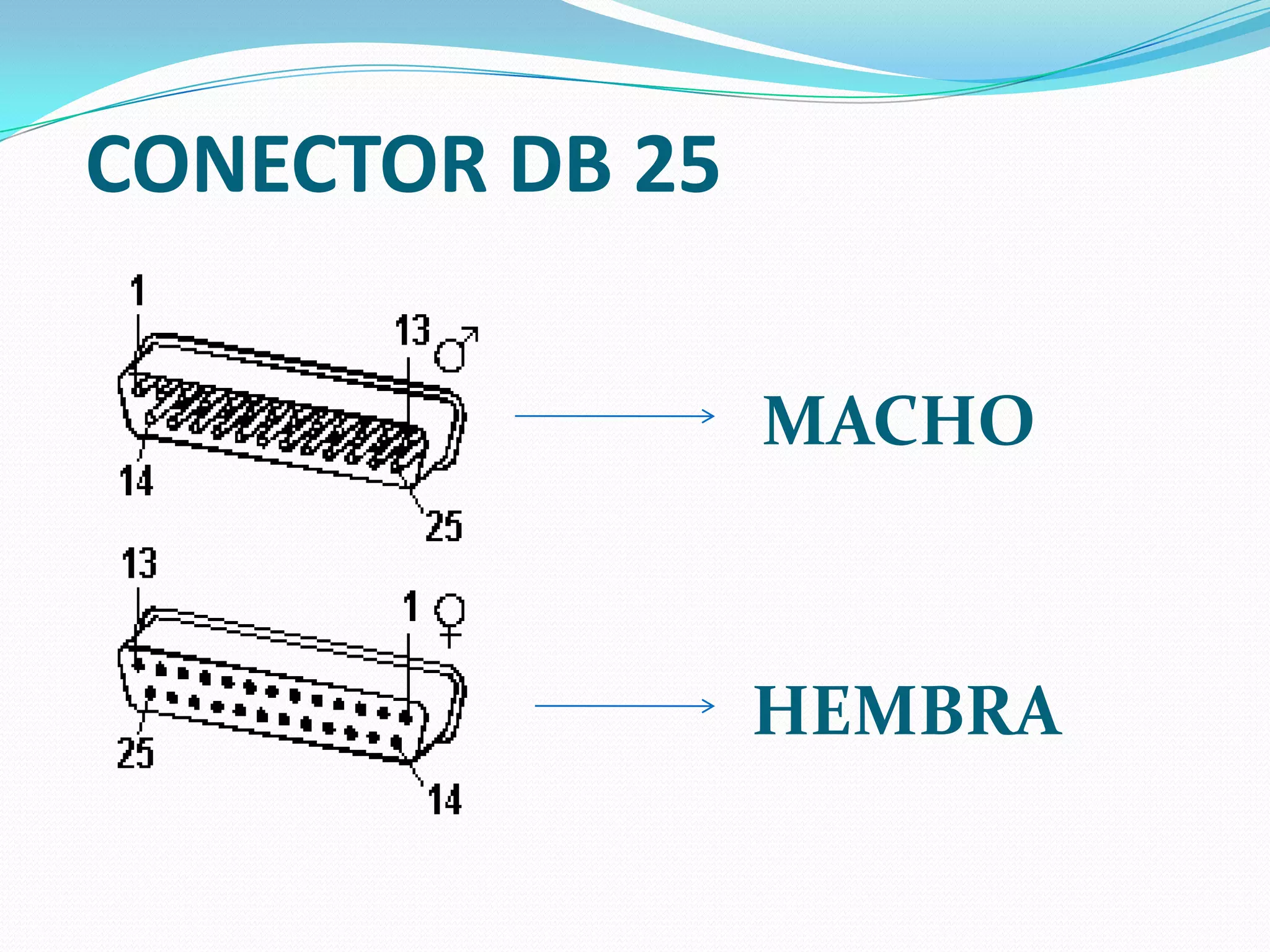 CONECTOR DB 25MACHOHEMBRA