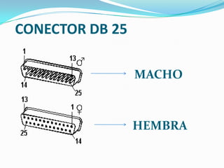 CONECTOR DB 25MACHOHEMBRA