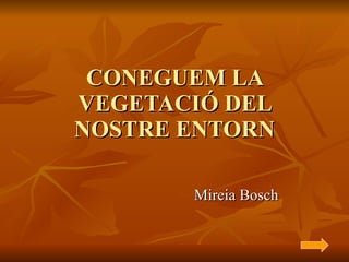 CONEGUEM LA VEGETACIÓ DEL NOSTRE ENTORN Mireia Bosch 