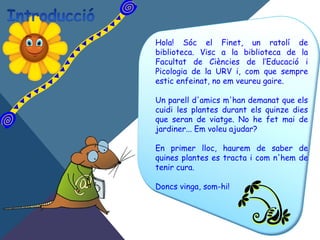 Hola! Sóc el Finet, un ratolí de
biblioteca. Visc a la biblioteca de la
Facultat de Ciències de l’Educació i
Picologia de la URV i, com que sempre
estic enfeinat, no em veureu gaire.
Un parell d'amics m'han demanat que els
cuidi les plantes durant els quinze dies
que seran de viatge. No he fet mai de
jardiner... Em voleu ajudar?
En primer lloc, haurem de saber de
quines plantes es tracta i com n'hem de
tenir cura.
Doncs vinga, som-hi!
 