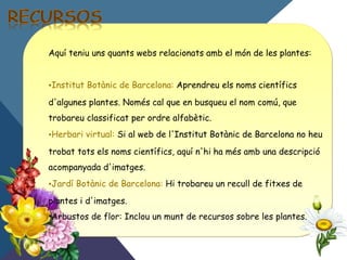 Aquí teniu uns quants webs relacionats amb el món de les plantes:
•Institut Botànic de Barcelona: Aprendreu els noms científics
d'algunes plantes. Només cal que en busqueu el nom comú, que
trobareu classificat per ordre alfabètic.
•Herbari virtual: Si al web de l'Institut Botànic de Barcelona no heu
trobat tots els noms científics, aquí n'hi ha més amb una descripció
acompanyada d'imatges.
•Jardí Botànic de Barcelona: Hi trobareu un recull de fitxes de
plantes i d'imatges.
•Arbustos de flor: Inclou un munt de recursos sobre les plantes.
 
