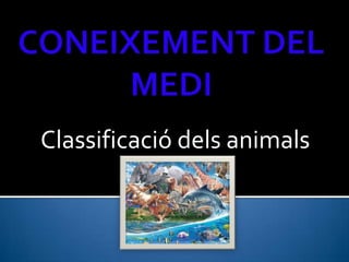 Classificació dels animals
 