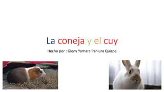 La coneja y el cuy
Hecho por : Gleny Yomara Paniura Quispe
 