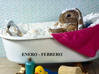 ENERO - FEBRERO 