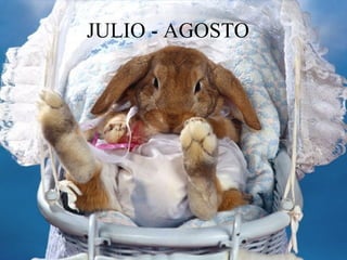 JULIO - AGOSTO 