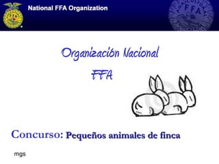 Organización Nacional
FFA
Concurso: Pequeños animales de finca
mgs

 
