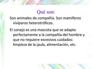 Qué son:
Son animales de compañía. Son mamíferos
vivíparos heterotróficos.
El conejo es una mascota que se adapta
perfectamente a la compañía del hombre y
que no requiere excesivos cuidados:
limpieza de la jaula, alimentación, etc.