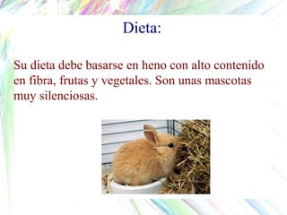 Su dieta debe basarse en heno con alto contenido
en fibra, frutas y vegetales. Son unas mascotas
muy silenciosas.
Dieta: