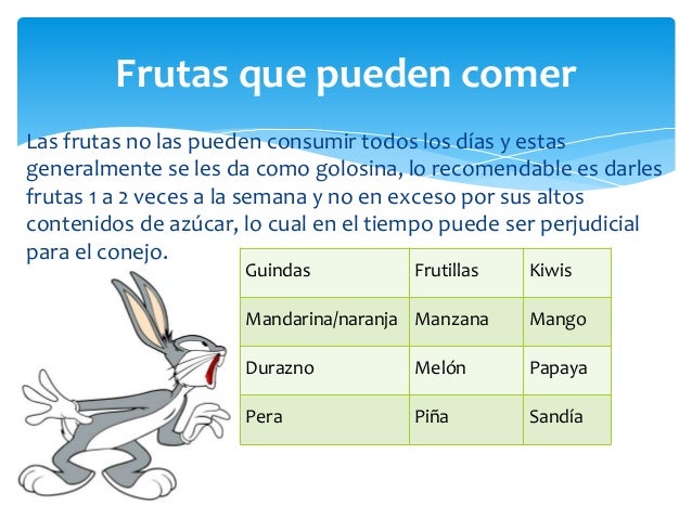 Conejos dieta Conejos dieta