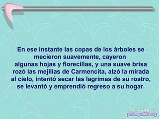 En ese instante las copas de los árboles se mecieron suavemente, cayeron  algunas hojas y florecillas, y una suave brisa rozó las mejillas de Carmencita, alzó la mirada al cielo, intentó secar las lagrimas de su rostro, se levantó y emprendió regreso a su hogar. 