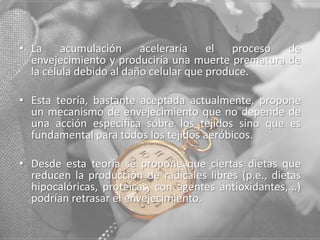 • La acumulación aceleraría el proceso de
envejecimiento y produciría una muerte prematura de
la célula debido al daño celular que produce.
• Esta teoría, bastante aceptada actualmente, propone
un mecanismo de envejecimiento que no depende de
una acción específica sobre los tejidos sino que es
fundamental para todos los tejidos aeróbicos.
• Desde esta teoría se propone que ciertas dietas que
reducen la producción de radicales libres (p.e., dietas
hipocalóricas, proteicas, con agentes antioxidantes,...)
podrían retrasar el envejecimiento.

 