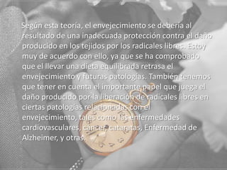 Según esta teoría, el envejecimiento se debería al
resultado de una inadecuada protección contra el daño
producido en los tejidos por los radicales libres. Estoy
muy de acuerdo con ello, ya que se ha comprobado
que el llevar una dieta equilibrada retrasa el
envejecimiento y futuras patologías. También tenemos
que tener en cuenta el importante papel que juega el
daño producido por la liberación de radicales libres en
ciertas patologías relacionadas con el
envejecimiento, tales como las enfermedades
cardiovasculares, cáncer, cataratas, Enfermedad de
Alzheimer, y otras.

 