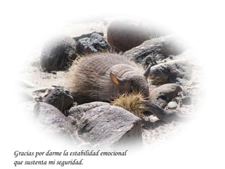 Gracias por darme la estabilidad emocional  que sustenta mi seguridad. 