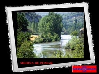 MEDINA DE POMAR 