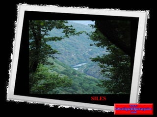 SILES