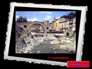 CAMPODRON