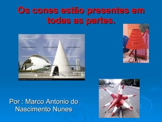 Os cones estão presentes em todas as partes. Por : Marco Antonio do Nascimento Nunes 