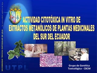 Grupo de Genética Toxicológica - CBCM ACTIVIDAD CITOTÓXICA IN VITRO DE EXTRACTOS METANÓLICOS DE PLANTAS MEDICINALES DEL SUR DEL ECUADOR 