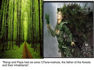 "Rangi and Papa had six sons:1)Tane-mahuta, the father of the forests and their inhabitants".   