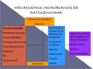 MECANISMOS MICROBIANOS DE
PATOGENICIDAD
Número de microbios
invasores 
Penetración o 
evasión de las 
defensas del 
hospedero

Puertas de Entrada
Membranas mucosas
Tracto respiratorio

Factores de 
virulencia 

Tracto gastrointestinal
Tracto genitourinário

Lesión a las células 
del hospedero y/o 
Efecto citopático
Lesión directa

Cápsulas
Pared celular

Conjuntiva
Piel

Toxinas
Hipersensibilidad

Enzimas

Via parenteral
Adherencia

Toxinas

 