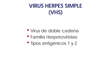 VIRUS HERPES SIMPLE
(VHS)

• Virus de doble cadena
• Familia Herpetoviridae
• Tipos antigénicos 1 y 2

 