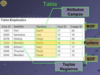 Tabla
           Atributos
           Campos


                       BOF



                    Puntero



                       EOF
         Tuplas
        Registros
 