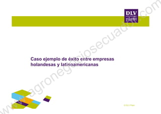 Caso ejemplo de éxito entre empresas
© DLV Plant
Caso ejemplo de éxito entre empresas
holandesas y latinoamericanas
ww.agronegociosecuador.com
 