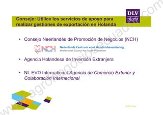 Consejo: Utilice los servicios de apoyo para
realizar gestiones de exportación en Holanda
• Consejo Neerlandés de Promoción de Negocios (NCH)
• Agencia Holandesa de Inversión Extranjera
© DLV Plant
• Agencia Holandesa de Inversión Extranjera
• NL EVD International-Agencia de Comercio Exterior y
Colaboración Internacional
ww.agronegociosecuador.com
 
