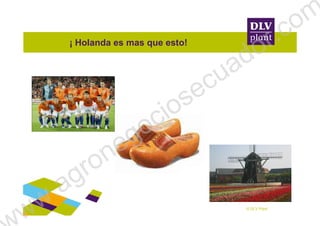 ¡ Holanda es mas que esto!
© DLV Plant
ww.agronegociosecuador.com
 