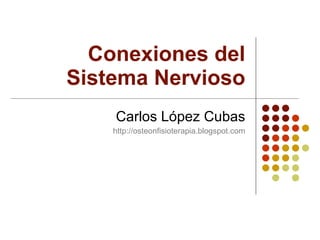 Conexiones del Sistema Nervioso Carlos López Cubas http://osteonfisioterapia.blogspot.com 