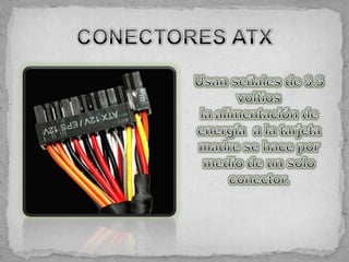 Conexiones internas