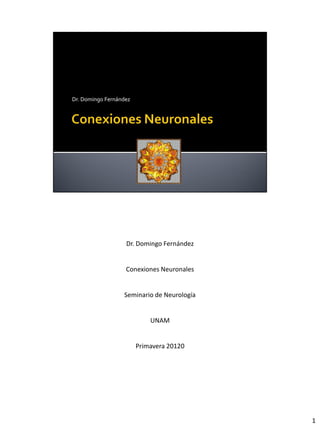 Dr. Domingo Fernández


Conexiones Neuronales


Seminario de Neurología


        UNAM


   Primavera 20120




                          1
 