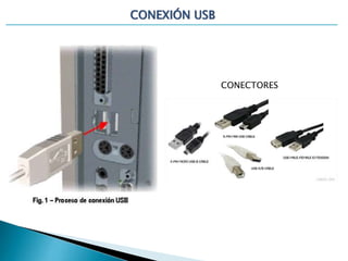CONEXIÓN USB
CONECTORES
 
