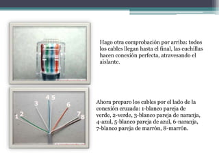 Hago otra comprobación por arriba: todos
los cables llegan hasta el final, las cuchillas
hacen conexión perfecta, atravesando el
aislante.
Ahora preparo los cables por el lado de la
conexión cruzada: 1-blanco pareja de
verde, 2-verde, 3-blanco pareja de naranja,
4-azul, 5-blanco pareja de azul, 6-naranja,
7-blanco pareja de marrón, 8-marrón.
 